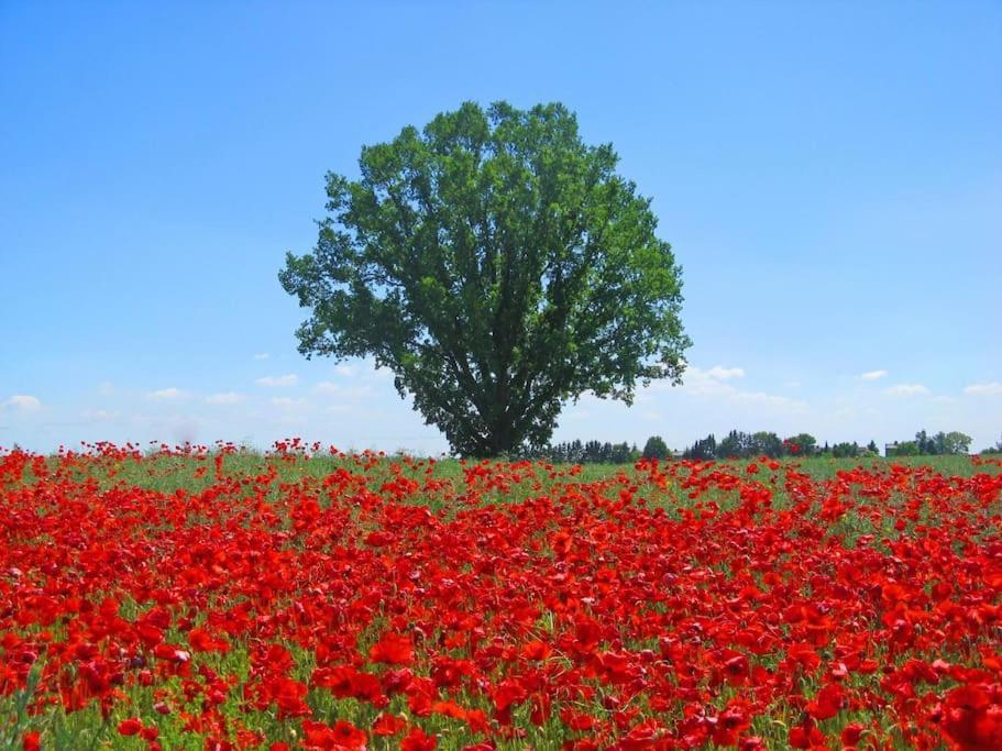 Inselidylle Villa Kunterbunt เฟมาร์น ภายนอก รูปภาพ